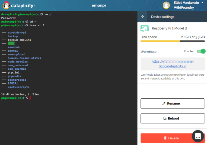 Remote terminal